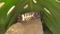 PVC Leather Belt Buckle Bracelet w/ Stainless Steel Fishbone Watch-Style